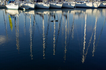 Reflections on boat masts on water, Alameda, California.