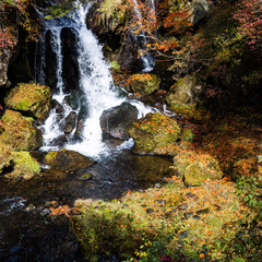 waterfall in autumn