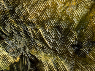 abstract green corrugated texture