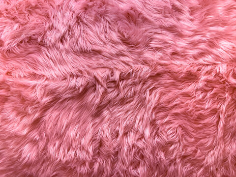 Pink fur texture top view. Pink sheepskin background. Fur pattern. Texture  of pink shaggy fur Stock Photo by LanaSweet