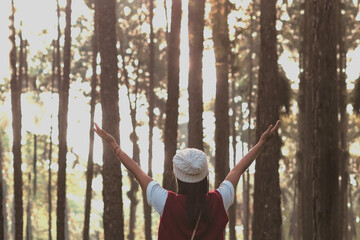 Happy woman backpacker raise arms in the pine trees  forest.