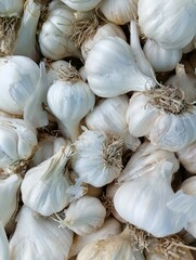 close up of garlic