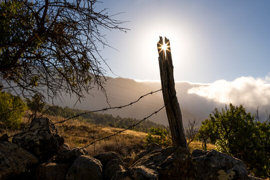 The sun on a wooden stick.