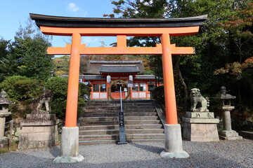  A Japanese shrine : a scene of the entrance torii to Hai-den Hall for prayer in the  Uji-jinjya in...