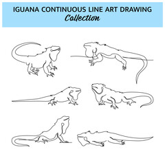Set of iguana line design. Simple animal silhouette decorative elements drawn with one continuous line. Vector illustration of minimalist style on white background.