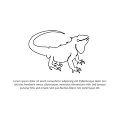 Iguana line design. Simple animal silhouette decorative elements drawn with one continuous line. Vector illustration of minimalist style on white background.