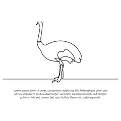 Ostrich line design. Simple animal silhouette decorative elements drawn with one continuous line. Vector illustration of minimalist style on white background.