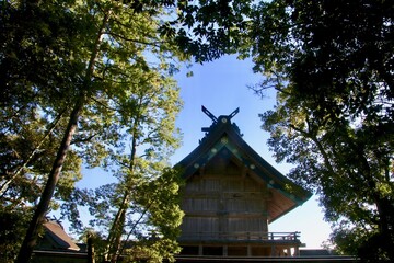 御本殿・出雲大社（島根県・出雲市）