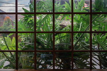 Wooden window lattice overgrown with greenery background