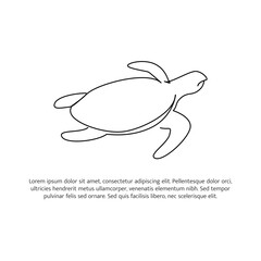 Turtle line design. Simple animal silhouette decorative elements drawn with one continuous line. Vector illustration of minimalist style on white background.
