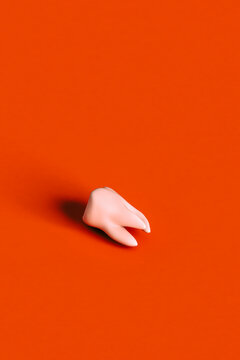 a molar on a red background. 3d render