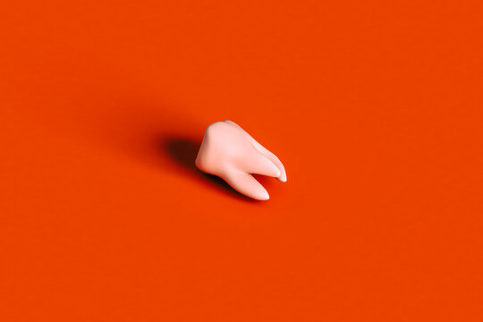 a molar tooth