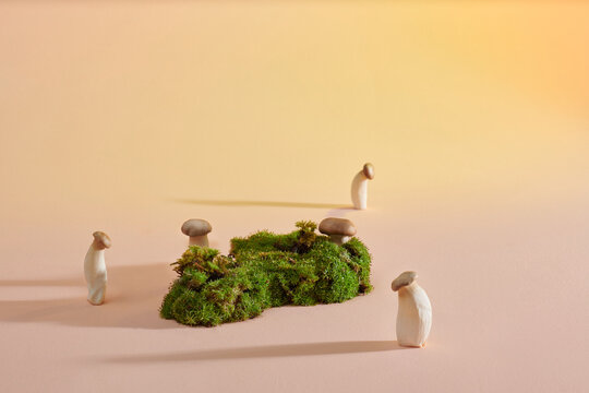 growing green moss on a bright background.