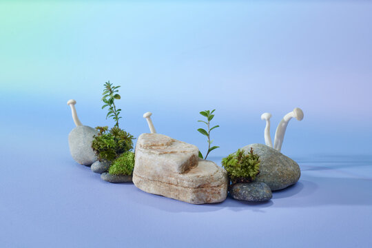 Cube stone as display podium for natural eco products.