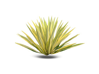 green plant isolated on white background. can used for advertising and decoration needs. clipping path