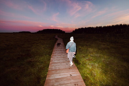 Unrecognizable person walks his dog in nature in the evening