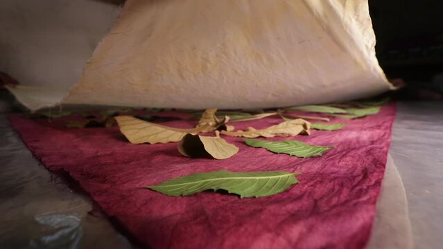 close-up videos. ecoprint art. covering the leaves placed on the cloth. which is one of the processes of making ecoprint batik.