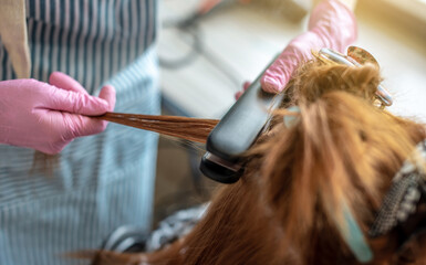 Master is running a iron through the client's hair for keratin straightening. Process of hair care procedures in the salon or at home