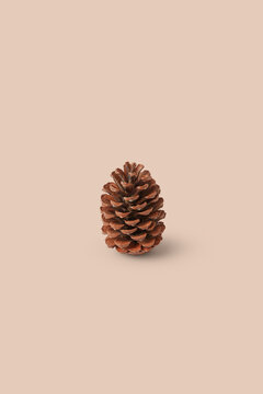Single brown pine cone on beige background.