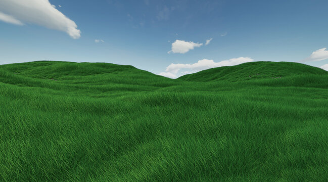 Colorful Grass FIeld