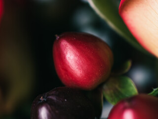Red fruit