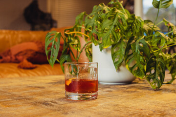 Whiskey in a chilled glass on a table with a plant. Close up, text space.