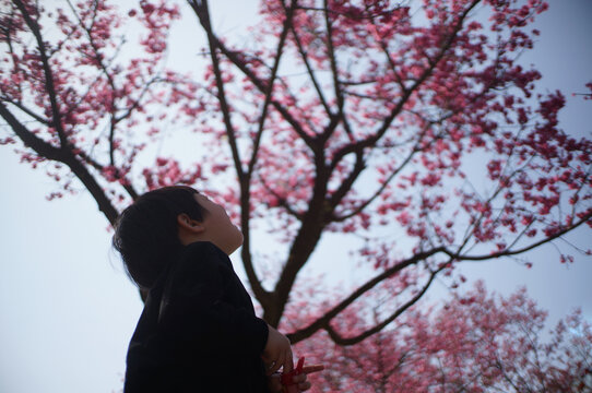 Cute little Asian boy playing under the peach tree

