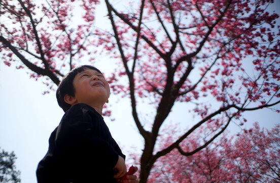 Cute little Asian boy playing under the peach tree

