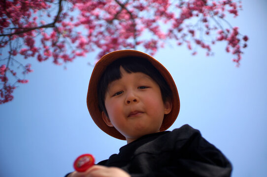 Cute little Asian boy playing under the peach tree

