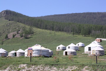 Fototapeta na wymiar A nomadic tent resort in the peaceful Bogd Khaan valley, Ulaanbaatar, Mongolia. The valley is so calm and cold throughout the year. 