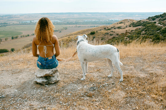 Back of Woman and dog sitting on a rock in the mountain in a sunny day