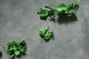 fresh celery leaves ready to cook on concrete background