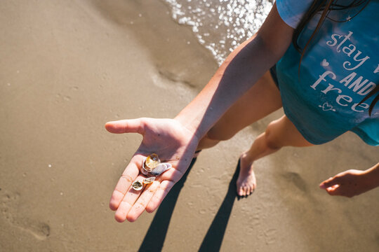 Collecting shells