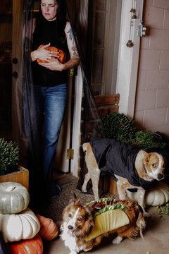 Woman Prepares For Dog Trick Or Treating