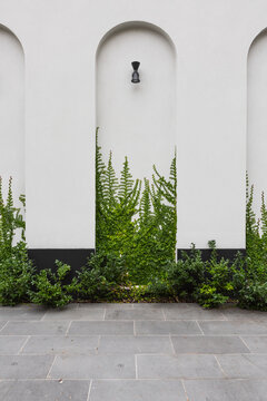 An exterior recessed architectural feature arch with creeping vine