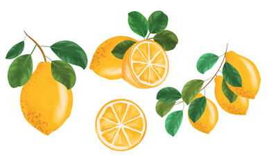 Lemon watercolor clipart set, A collection of fresh lemon hand-drawn watercolor clipart set for decorations and prints