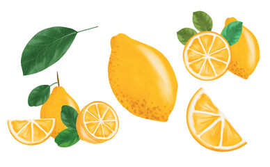 Lemon watercolor clipart set, A collection of fresh lemon hand-drawn watercolor clipart set for decorations and prints
