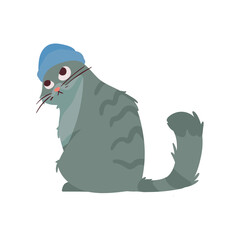 cute little gray cat