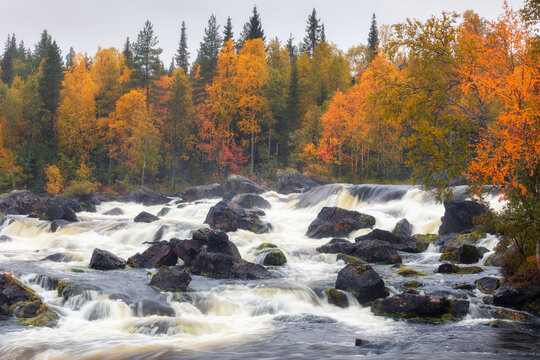 A Stormy Waterfall Against The Backdrop Of An Autumn Forest