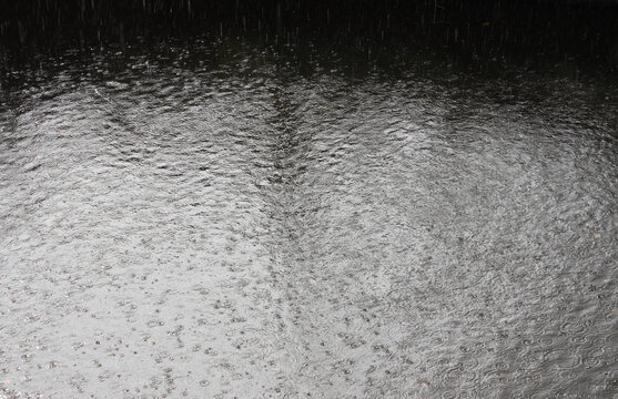 rain