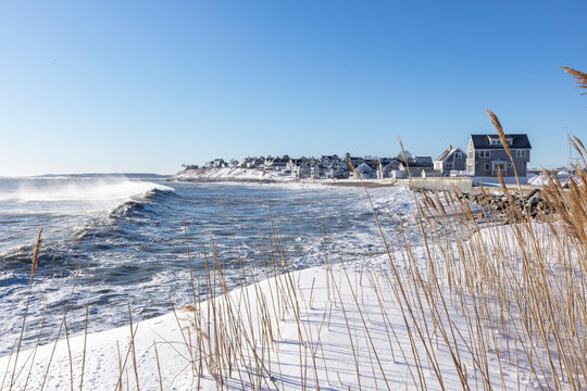 New England Coast in Winter Landscape  with dune grass 