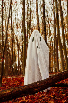 girl disguised as a ghost with a white sheet in the forest