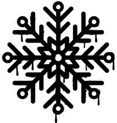 Christmas snowflake spray paint