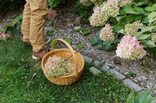 Close Up Of Mans Lower Body As He Works In The Garden In Fall