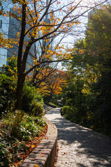 Early Autumn in Down town district of Shinagawa, Tokyo with green and eco designed city.