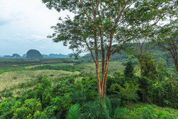 The background of the morning light, the wallpaper of the Twilight sky, the lake or the sea, is a natural beauty, seen between travel.