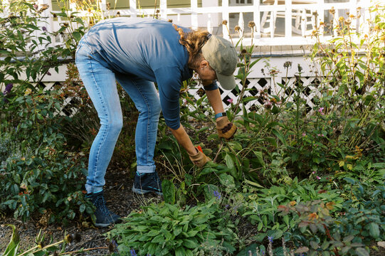 middle aged woman doing garden work