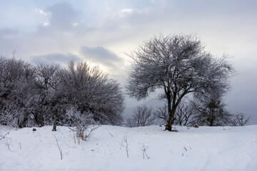 Winter forest, sunrise in the mountains, panorama from the site located on the ridge of the tourist route..