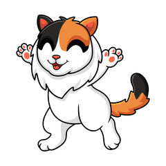 Cute turkish van cat cartoon