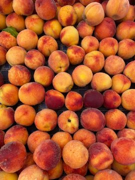 bunch of Turkish fresh peaches at Turkish market